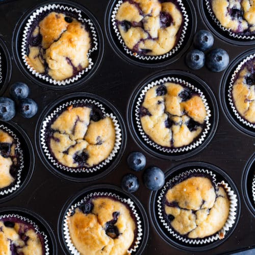 Blaubeermuffins ohne Zucker in einer schwarzen Muffinsform, von oben fotografiert.